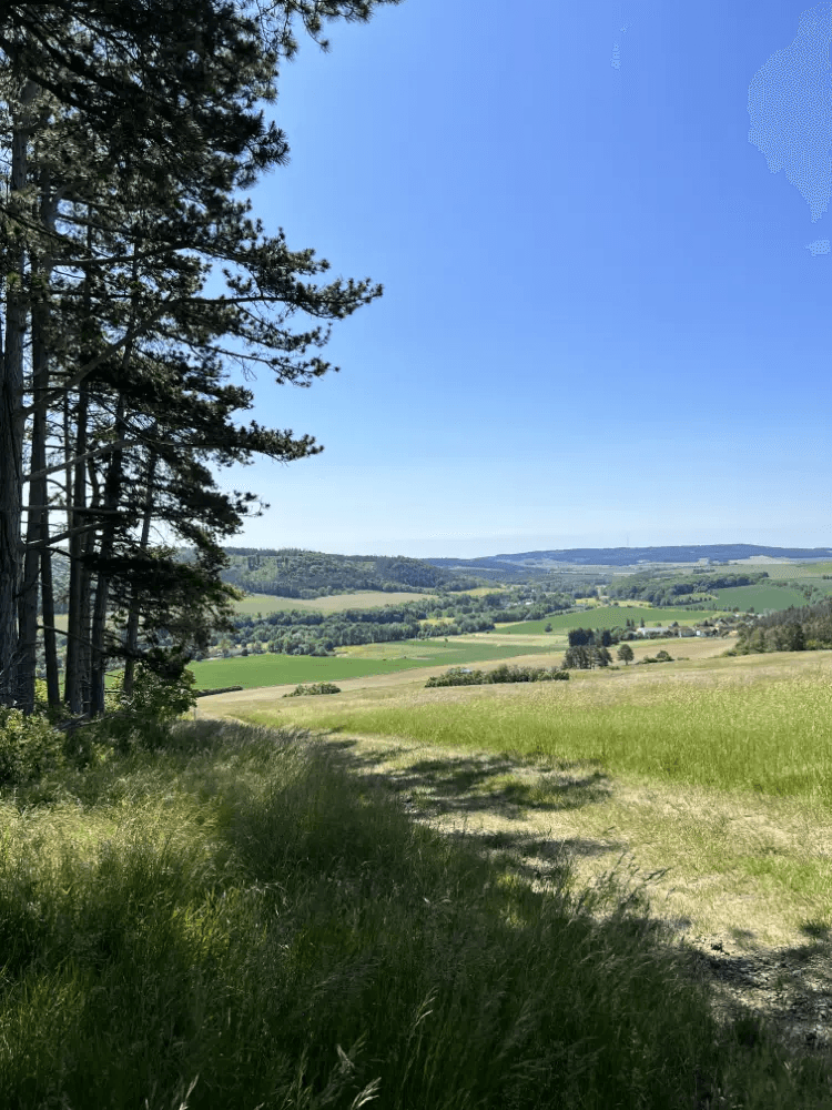 Linda Saalmann-Bäumer - Ihre Immobilienmaklerin