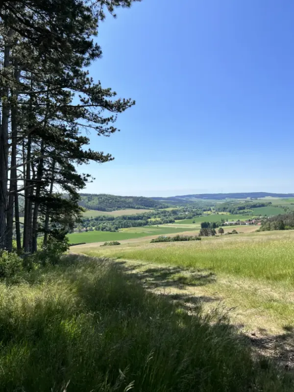 Linda Saalmann-Bäumer - Immobilienmaklerin für erfolgreichen Hausverkauf in Thüringen