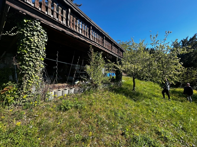 grundstueck-kauf-rudolstadt-1135 - Bild 19