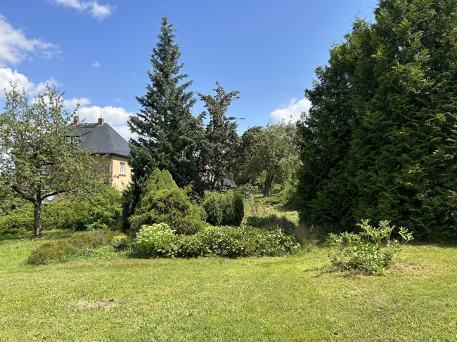 Sommer 2024, Oschitzer Str. 