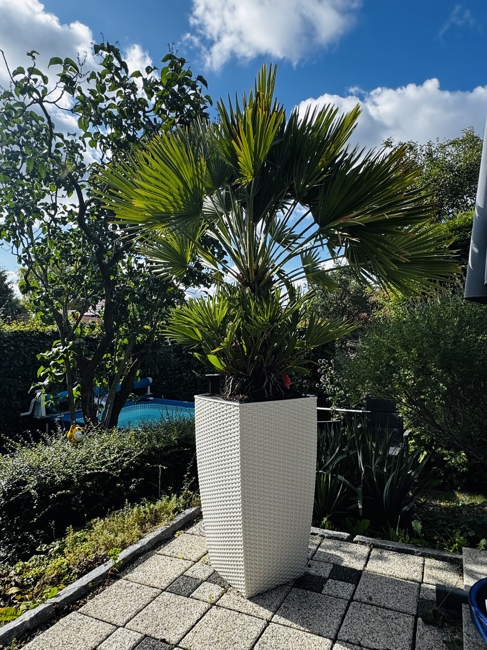 Garten pur
