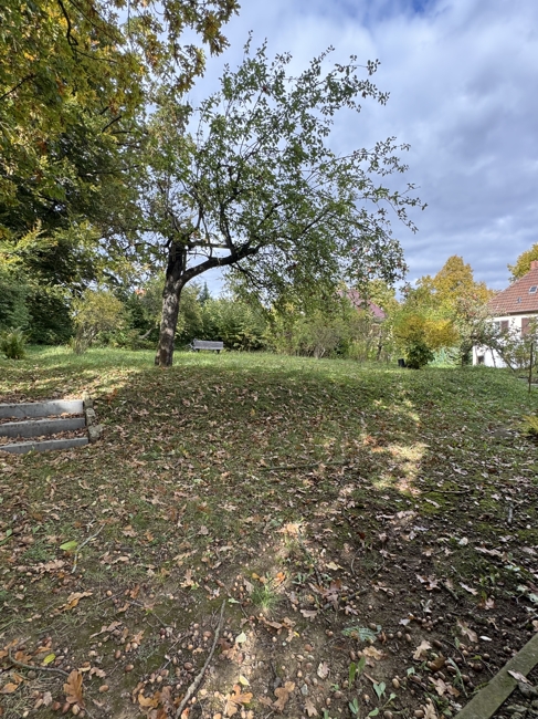 haus-kauf-weimar-1201 - Bild 13