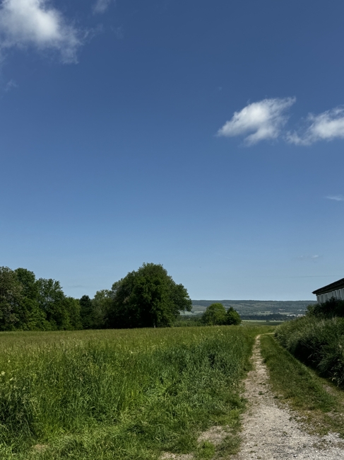 haus-kauf-weimar-1253 - Bild 15