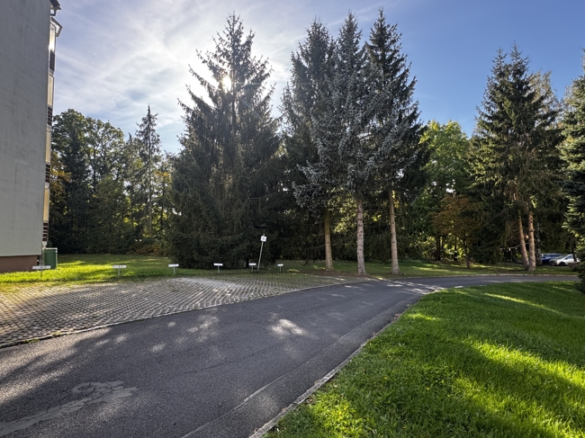 wohnung-kauf-bad-berka-1281 - Bild 10